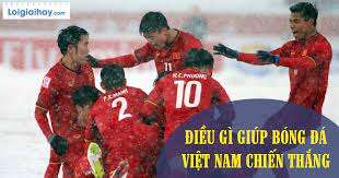 TOP 20 Đoạn văn những nguyên nhân giúp bóng đá Việt Nam chiến thắng (ảnh 1)