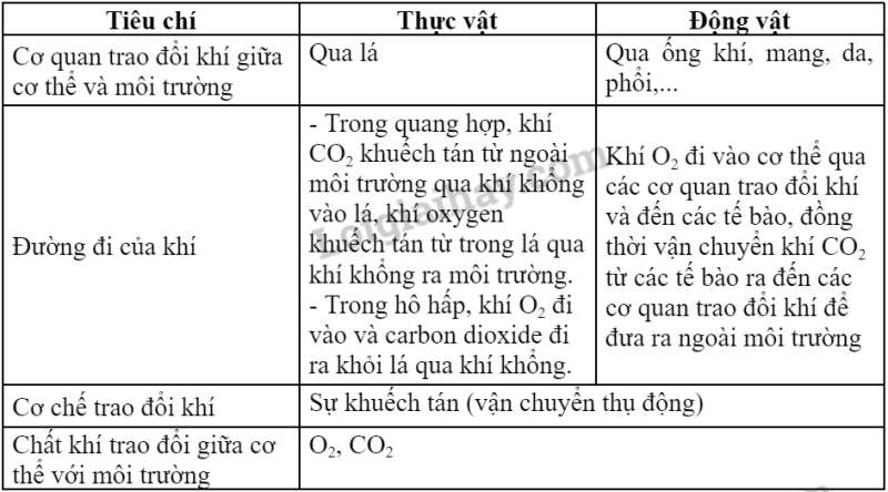 Khoa học tự nhiên 7 Bài 23: Trao đổi khí ở sinh vật | KHTN 7 Cánh diều (ảnh 12)