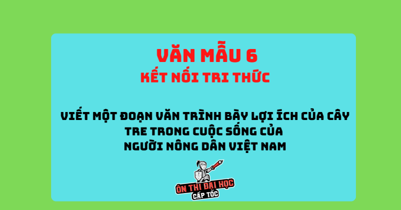 TOP 20 Đoạn văn trình bày lợi ích của cây tre trong cuộc sống của người nông dân Việt Nam (ảnh 3)