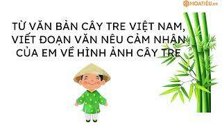TOP 20 Đoạn văn cảm nhận về hình ảnh cây tre qua bài Cây tre Việt Nam (ảnh 1)