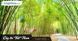 TOP 20 Đoạn văn cảm nhận về hình ảnh cây tre qua bài Cây tre Việt Nam (ảnh 3)