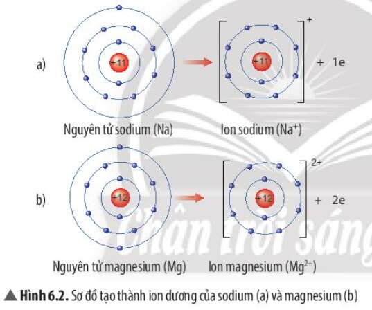 Quan Sát Hình 6.2, Em Hãy Mô Tả Sự Tạo Thành Ion Sodium, Ion Magnesium