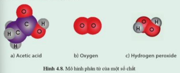 Lý thuyết bài 4 Phân tử đơn chất hợp chất  KHTN 7 Cánh Diều  SGK Khoa  học tự nhiên 7  Cánh diều