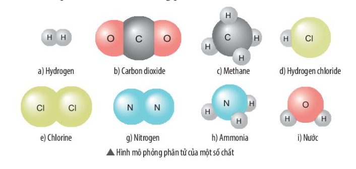 Đơn chất là gì hợp chất là gì phân tử và phân tử khối là gì