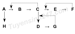 Trắc nghiệm Sinh học 10 Bài 14: Enzim và vai trò của enzim trong quá trình chuyển hóa vật chất (ảnh 2)
