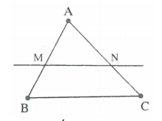 Các trường hợp đồng dạng của tam giác (ảnh 1)