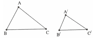 Các trường hợp đồng dạng của tam giác (ảnh 4)