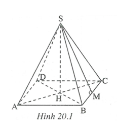 Hình chóp đều - Hình học toán 8 (ảnh 2)