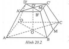 Hình chóp đều - Hình học toán 8 (ảnh 3)