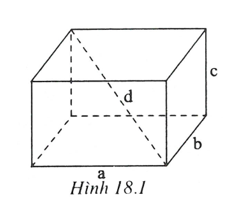 Hình hộp chữ nhật - Hình học toán 8 (ảnh 2)