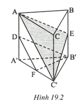 Hình lăng trụ đứng - Hình học toán 8 (ảnh 3)