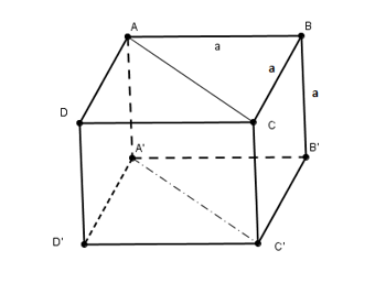 Phiếu bài tập tuần 32 - Toán 8 (ảnh 4)