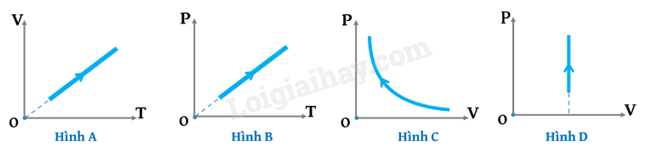 Bộ 10 đề thi học kì 1 Vật Lí 12 Kết nối tri thức có đáp án năm 2024 (ảnh 1)