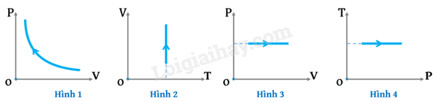 Bộ 10 đề thi học kì 1 Vật Lí 12 Kết nối tri thức có đáp án năm 2024 (ảnh 2)