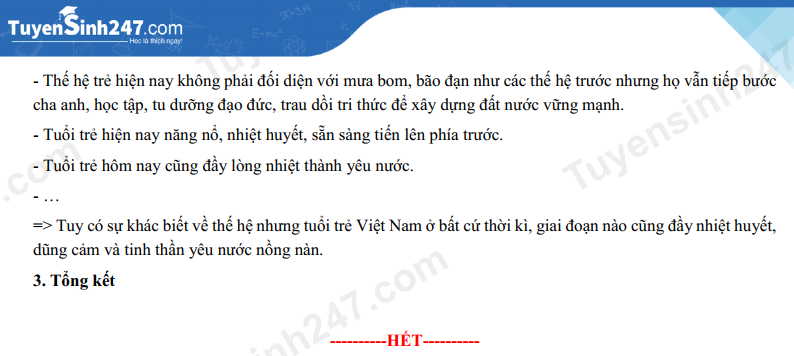 Đề thi vào lớp 10 môn Văn 2024 tỉnh Bình Định có đáp án (ảnh 4)