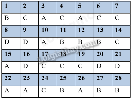 Bộ 10 đề thi giữa kì 1 Vật lí 11 Kết nối tri thức có đáp án năm 2024 (ảnh 1)