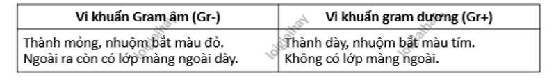 Bộ 10 đề thi giữa kì 1 Sinh học 10 Chân trời sáng tạo có đáp án năm 2024 (ảnh 1)