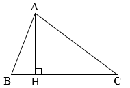 20 Bài tập Hai đường thẳng vuông góc lớp 4 (Kết nối tri thức) có lời giải (ảnh 5)