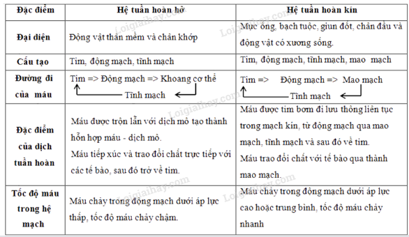 Bộ 10 đề thi giữa kì 1 Sinh học 11 Chân trời sáng tạo có đáp án năm 2024 (ảnh 1)