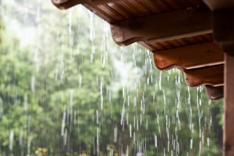 TOP 10 bài Thuyết minh về hiện tượng mưa 2024 SIÊU HAY (ảnh 1)