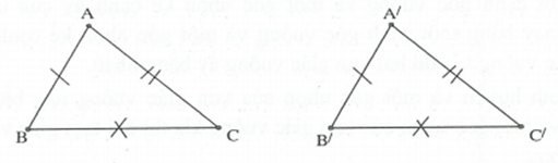 Cách giải các trường hợp bằng nhau của hai tam giác (ảnh 2)