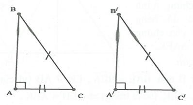 Các trường hợp bằng nhau của tam giác vuông (ảnh 2)