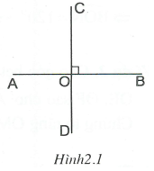 Hai đường thẳng vuông góc hình học lớp 7 (ảnh 2)
