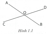 Hai góc đối đỉnh hình học lớp 7 (ảnh 2)