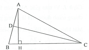 Tính số đo góc hình học lớp 7 (ảnh 2)