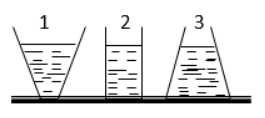 Trắc nghiệm Áp suất chất lỏng - Bình thông nhau có đáp án - Vật lí 8 (ảnh 2)
