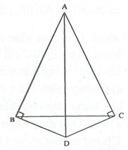 Các trường hợp bằng nhau của tam giác vuông (ảnh 3)