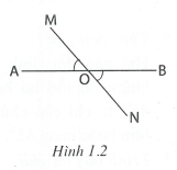 Hai góc đối đỉnh hình học lớp 7 (ảnh 3)