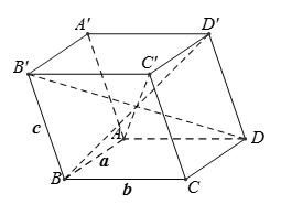 Cách tính độ dài đoạn thẳng, diện tích hình chiếu, chu vi và diện tích đa giác (ảnh 3)
