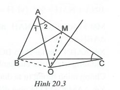 Tính chất ba đường trung trực, ba đường cao của tam giác (ảnh 4)