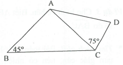 Tam giác cân. Tam giác đều (ảnh 5)