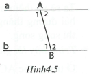 Tiên đề Ơ-clit. Tính chất của hai đường thẳng song song (ảnh 5)