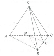 Bài tập Góc giữa hai mặt phẳng - Góc giữa mặt bên và mặt đáy có đáp án (ảnh 6)