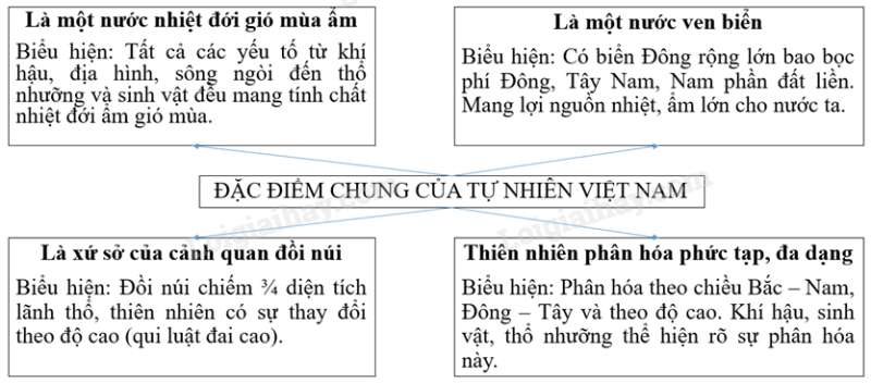 SBT Địa lí 8 Bài 39: Đặc điểm chung của tự nhiên Việt Nam | Giải SBT Địa lí lớp 8 (ảnh 2)