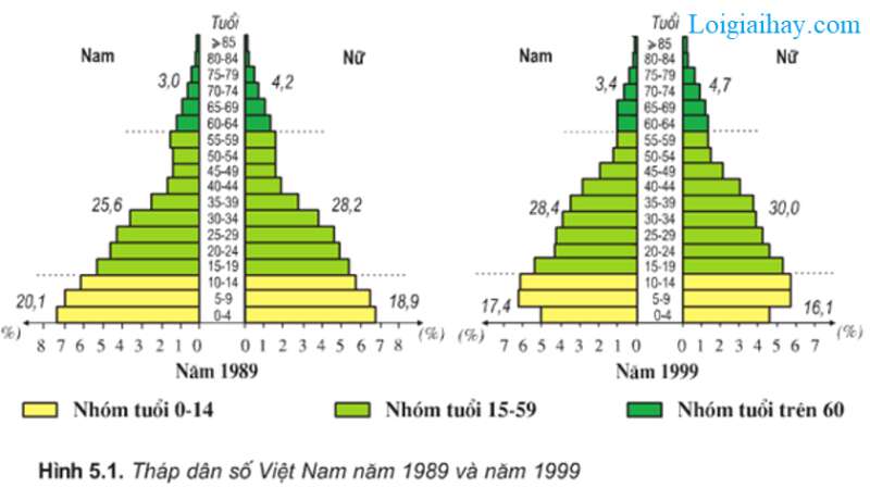 SBT Địa lí 9 Bài 5 Thực hành: Phân tích và so sánh tháp dân số năm 1989 và năm 1999 | Giải SBT Địa lí lớp 9 (ảnh 1)
