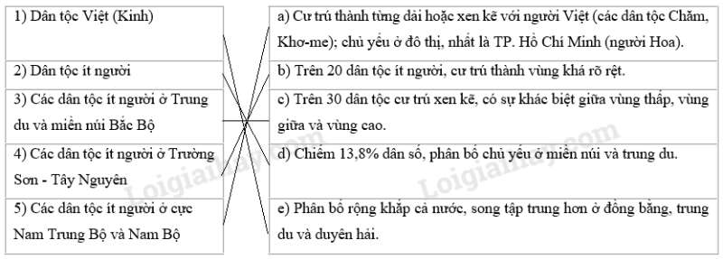 SBT Địa lí 9 Bài 1: Cộng đồng các dân tộc Việt Nam   | Giải SBT Địa lí lớp 9 (ảnh 5)