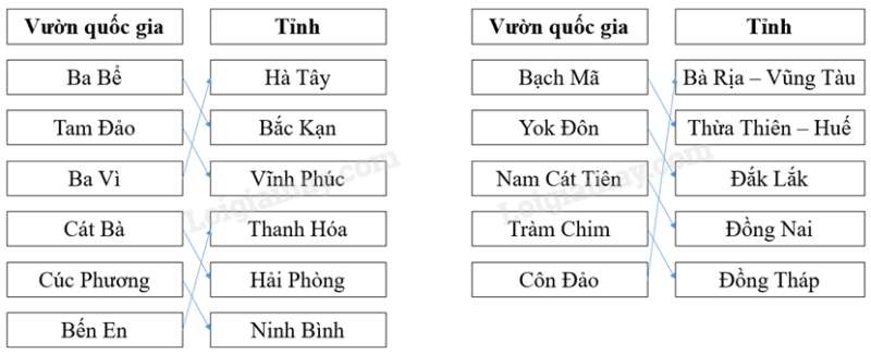 SBT Địa lí 8 Bài 37: Đặc điểm sinh vật Việt Nam  | Giải SBT Địa lí lớp 8 (ảnh 6)