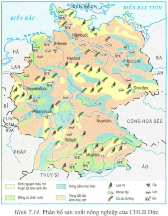 Giải bài tập Địa Lí 11 7 Bài 4: Cộng hòa Liên bang Đức (Hình 4)