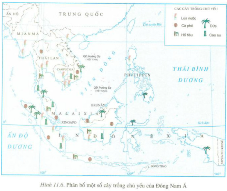 Giải Địa Lí 11 Bài 11Tiết 2: Kinh tế - Đông Nam Á (ảnh 2)