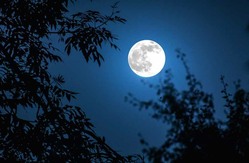 Top 10 bài Trình bày suy nghĩ về khổ thơ kết thúc bài Ánh trăng 2022 hay nhất (ảnh 2)