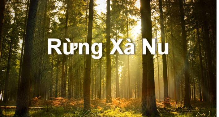 Top 19 bài Phân tích Rừng xà nu của Nguyễn Trung Thành 2022 hay nhất (ảnh 1)
