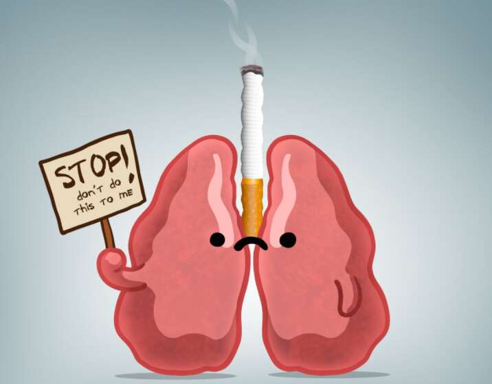 Top 12 bài Nghị luận về hút thuốc có hại 2022 hay nhất (ảnh 5)