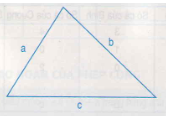 Độ dài các cạnh của hình tam giác là a, b, c. Gọi P là chu vi của hình tam giác (ảnh 1)