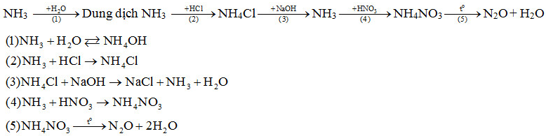 Giải Hóa Học 11 Bài 8: Amoniac và muối amoni (ảnh 8)