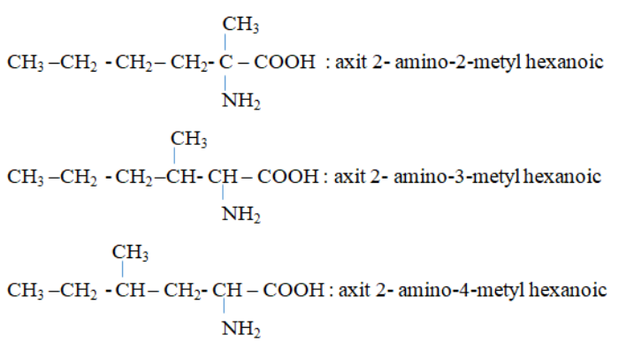 Giải Hóa học 12 Bài 12: Luyện tập: Cấu tạo và tính chất của amin, amino axit và protein (ảnh 1)