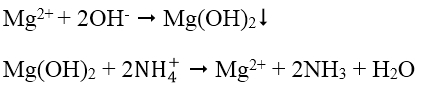 Giải Hóa học 12 Bài 40: Nhận biết một số ion trong dung dịch (ảnh 1)